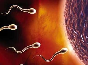 备孕失败，你有想过是精子活力太强吗？