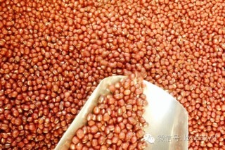 红豆薏米为你揭开月瘦20斤减肥秘诀超有效